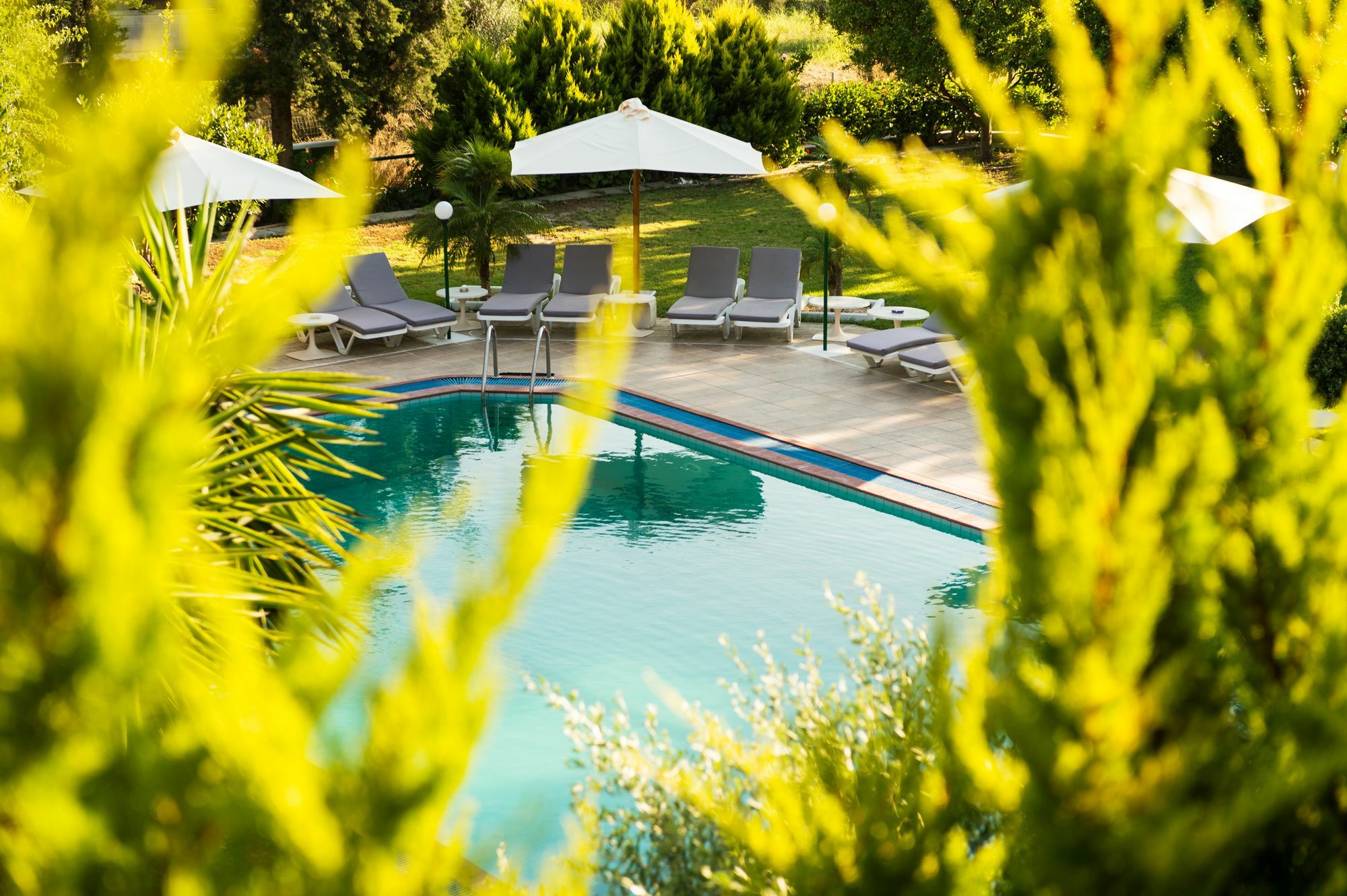 Terinikos Sunny Garden Hotel Junior Suites Ialysos (Rhodes) Exterior foto